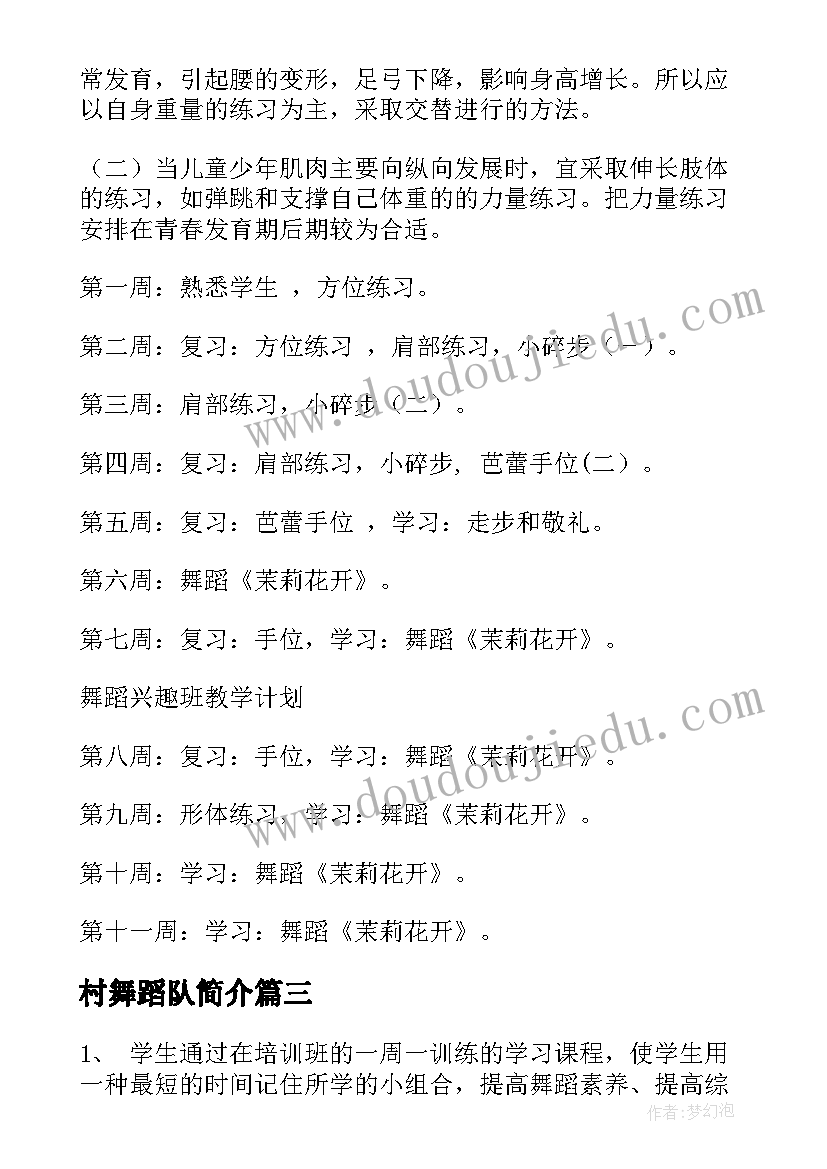 2023年村舞蹈队简介 舞蹈教学工作计划(优质6篇)