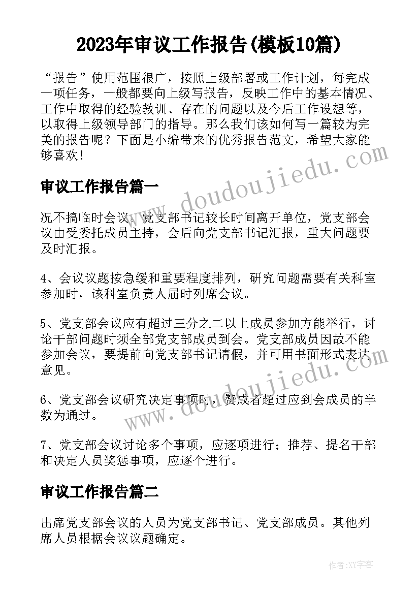 2023年审议工作报告(模板10篇)