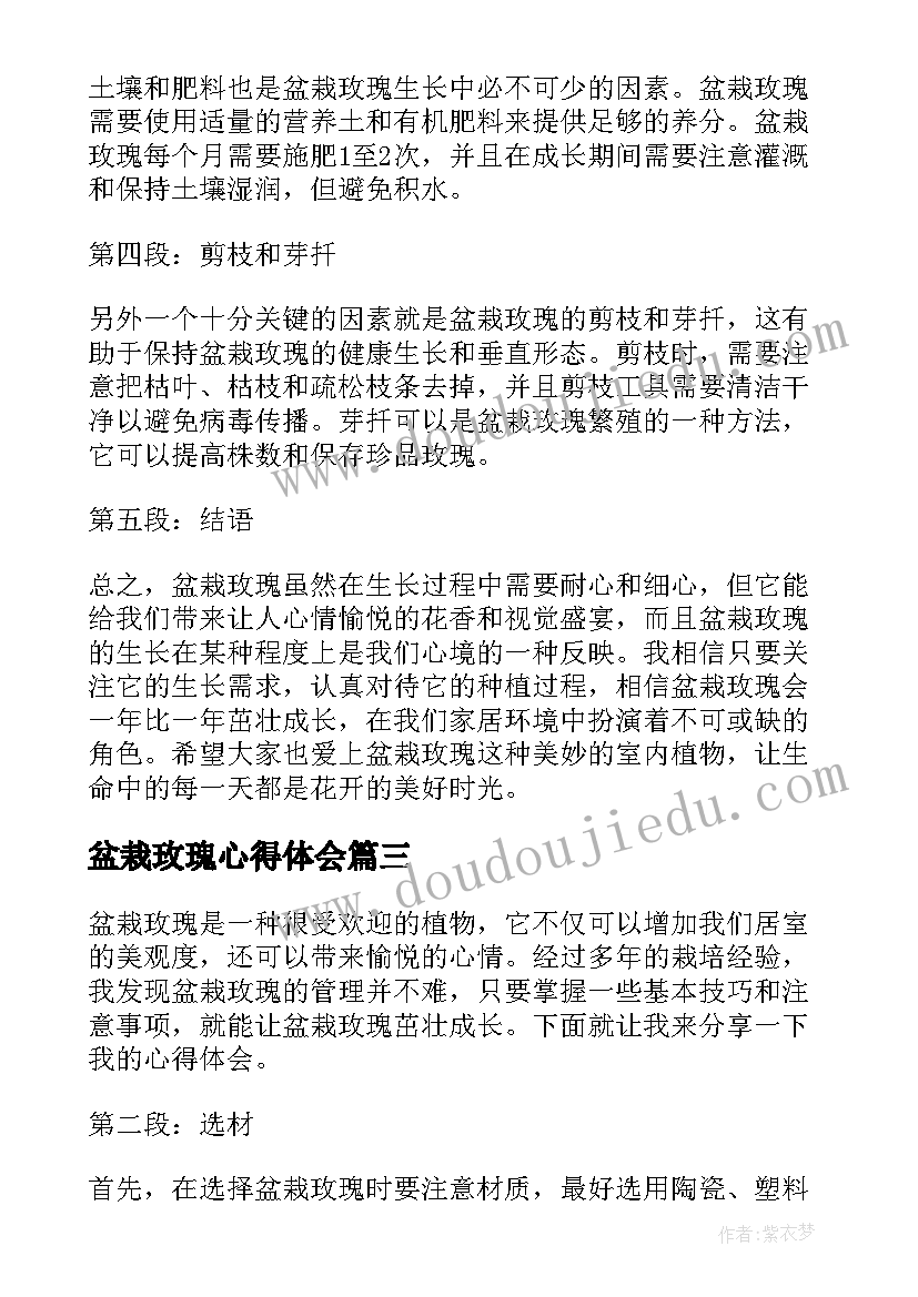 盆栽玫瑰心得体会 玫瑰与教育心得体会(优秀5篇)