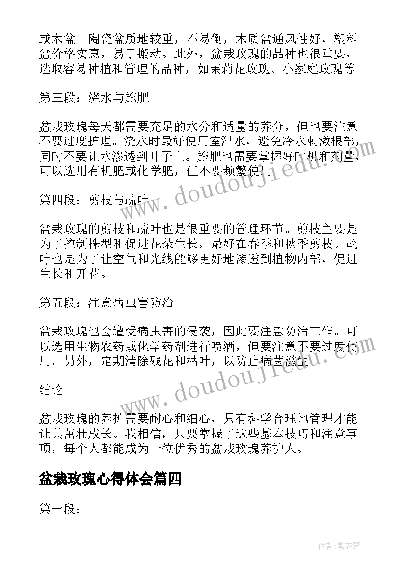 盆栽玫瑰心得体会 玫瑰与教育心得体会(优秀5篇)