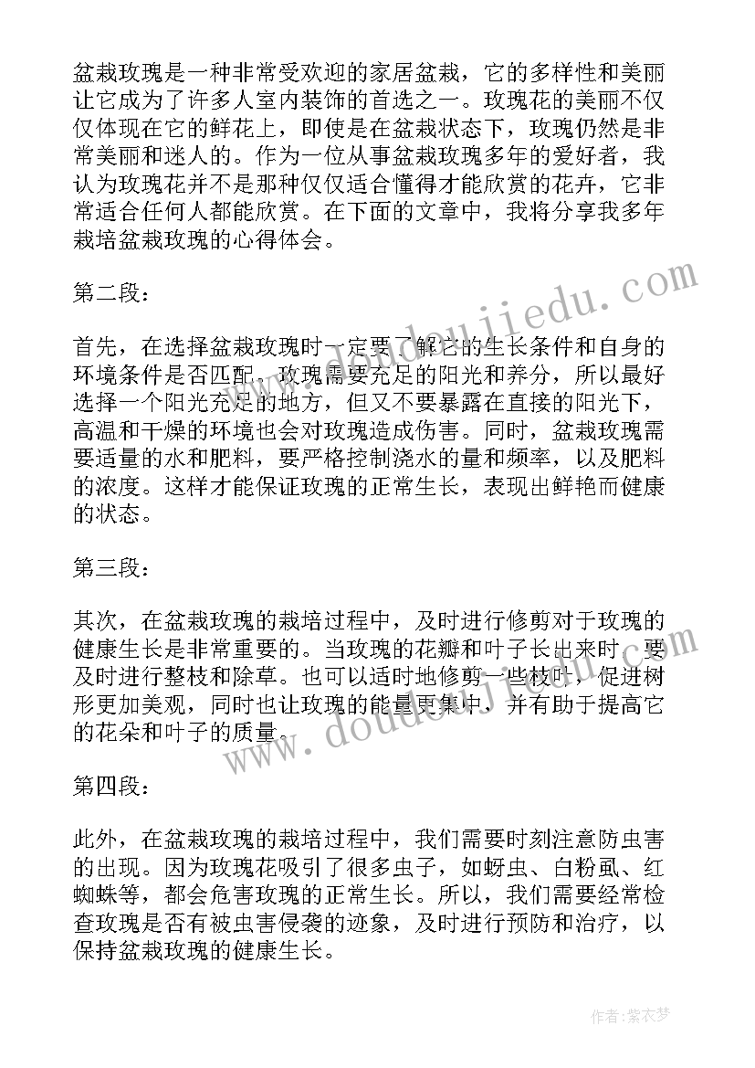 盆栽玫瑰心得体会 玫瑰与教育心得体会(优秀5篇)