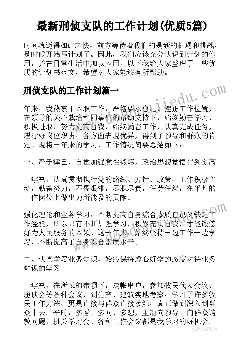 最新刑侦支队的工作计划(优质5篇)