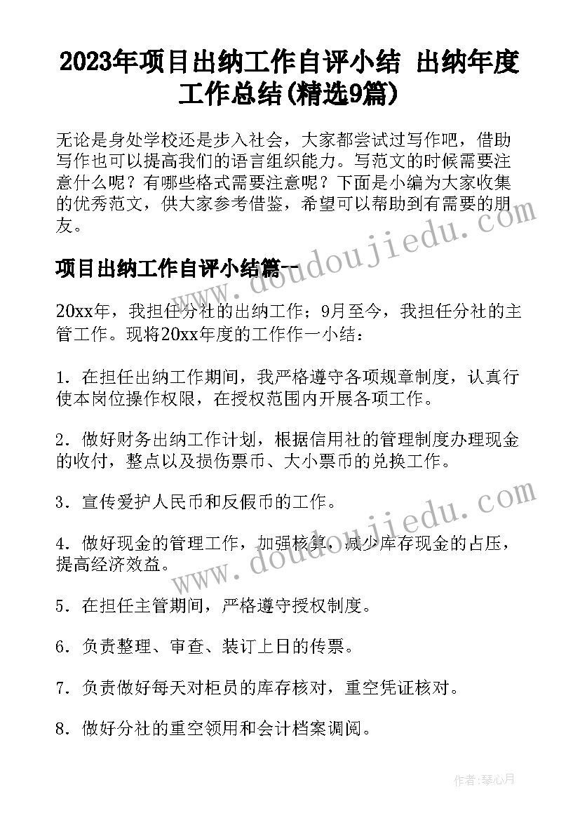 2023年项目出纳工作自评小结 出纳年度工作总结(精选9篇)