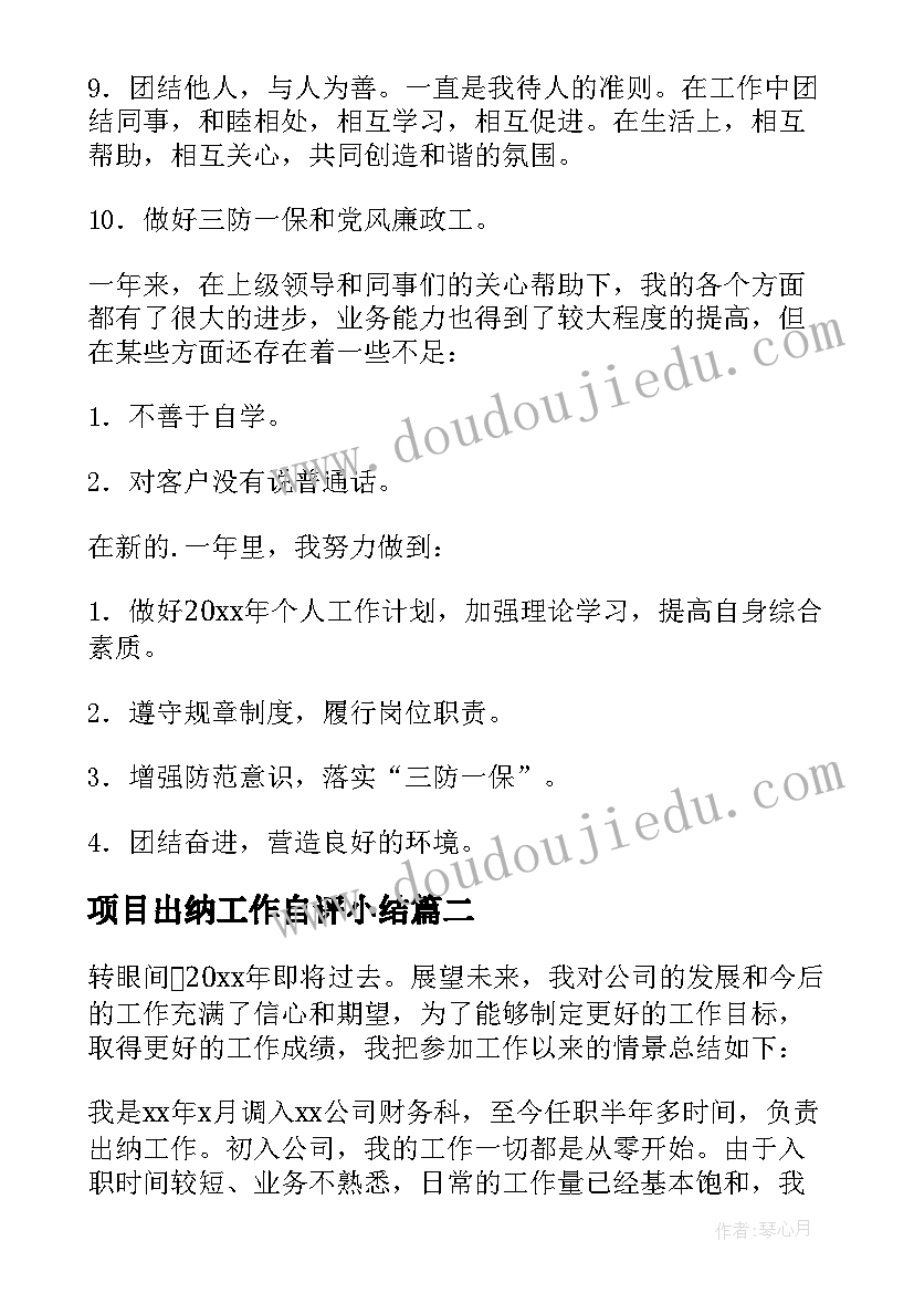 2023年项目出纳工作自评小结 出纳年度工作总结(精选9篇)