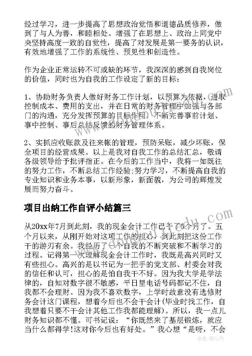 2023年项目出纳工作自评小结 出纳年度工作总结(精选9篇)