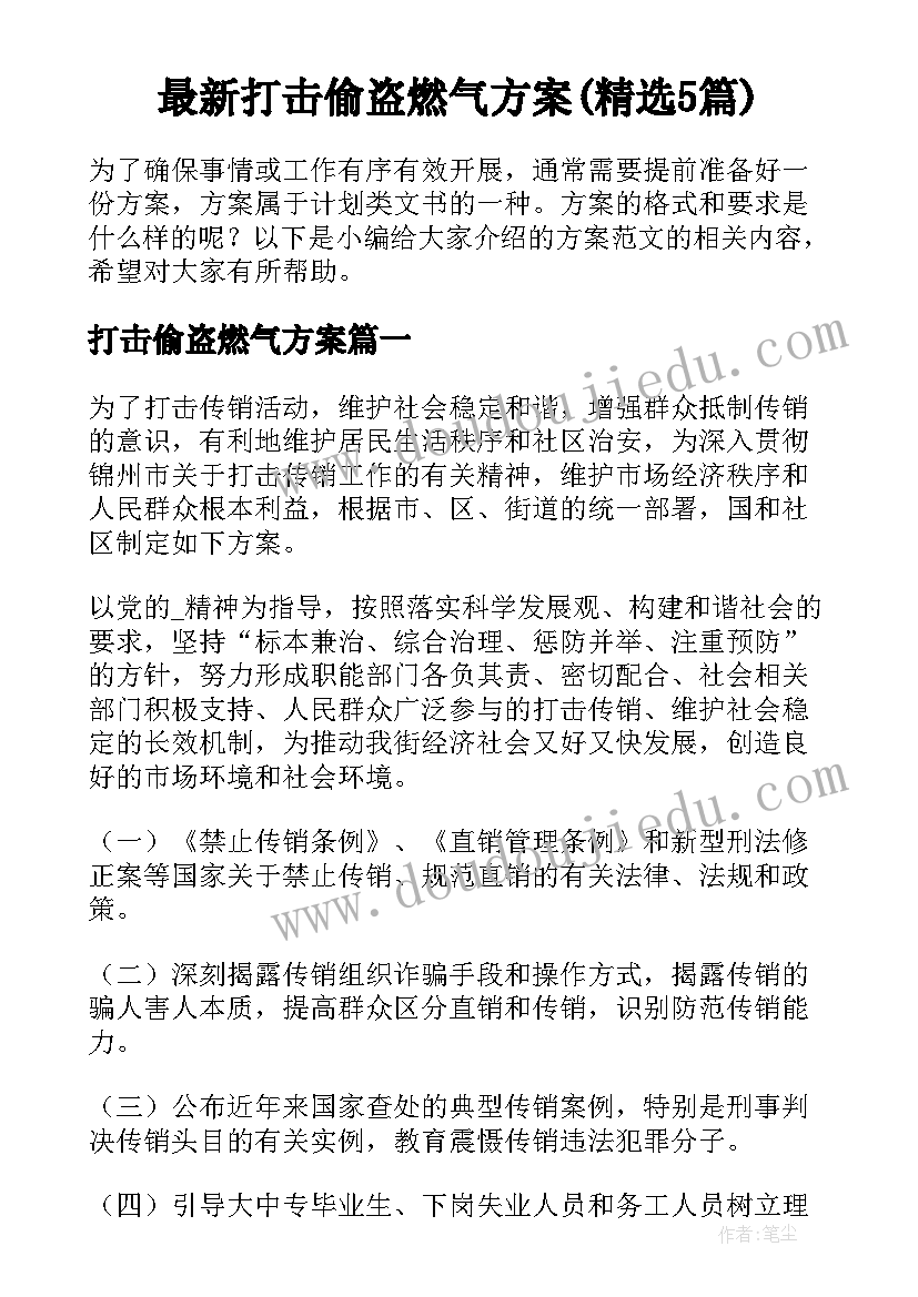 最新打击偷盗燃气方案(精选5篇)