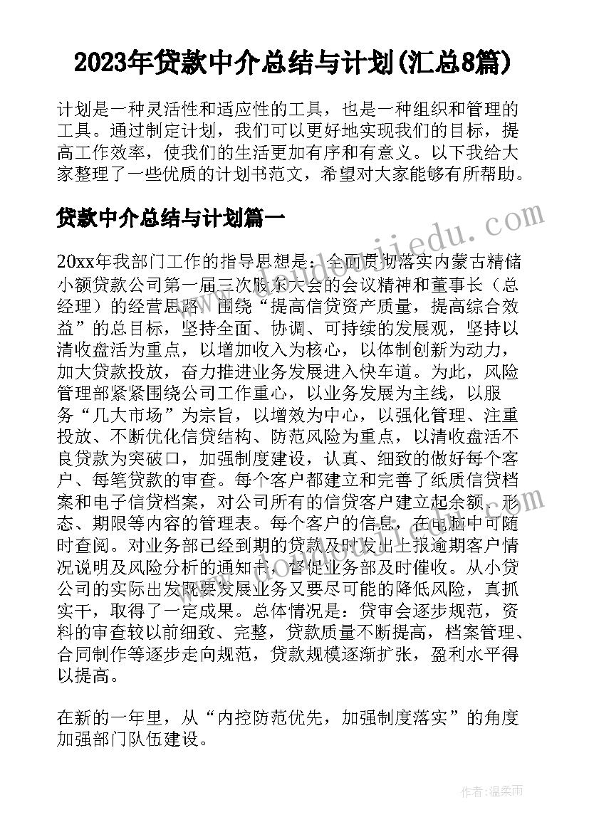 2023年贷款中介总结与计划(汇总8篇)