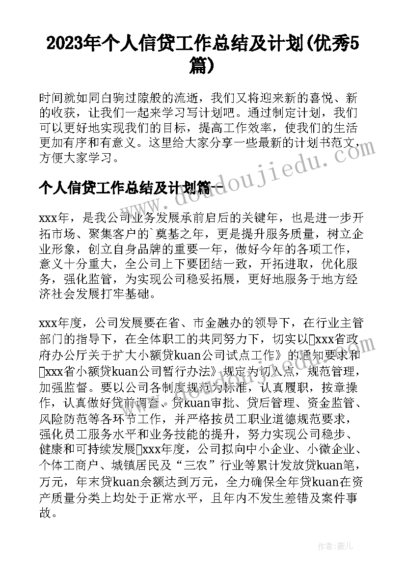 2023年个人信贷工作总结及计划(优秀5篇)