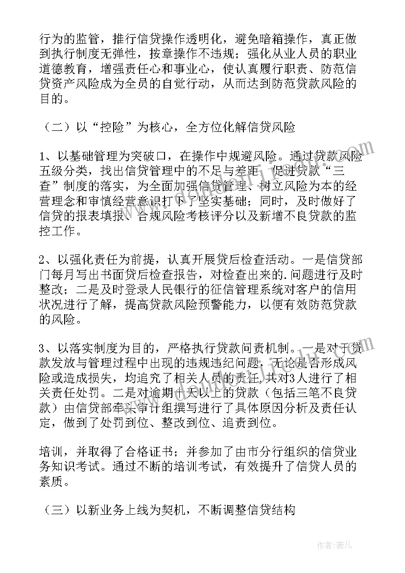 2023年个人信贷工作总结及计划(优秀5篇)