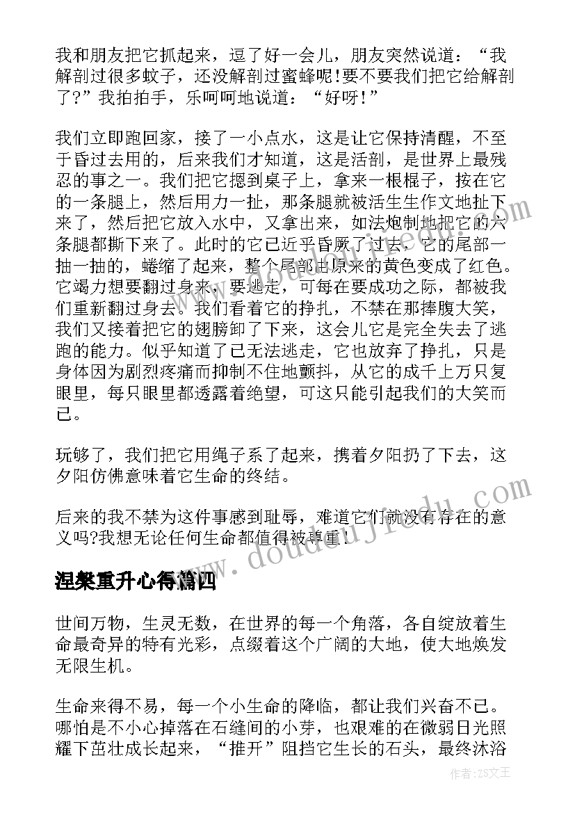 2023年涅槃重升心得 尊重生命心得体会(大全5篇)