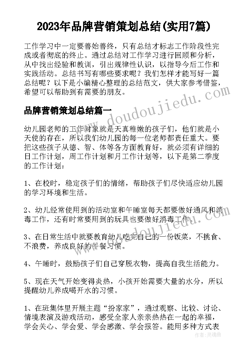 2023年品牌营销策划总结(实用7篇)