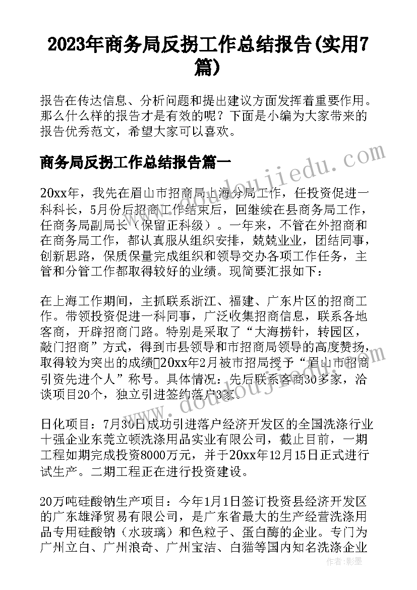 2023年商务局反拐工作总结报告(实用7篇)