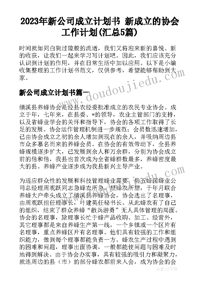 2023年新公司成立计划书 新成立的协会工作计划(汇总5篇)