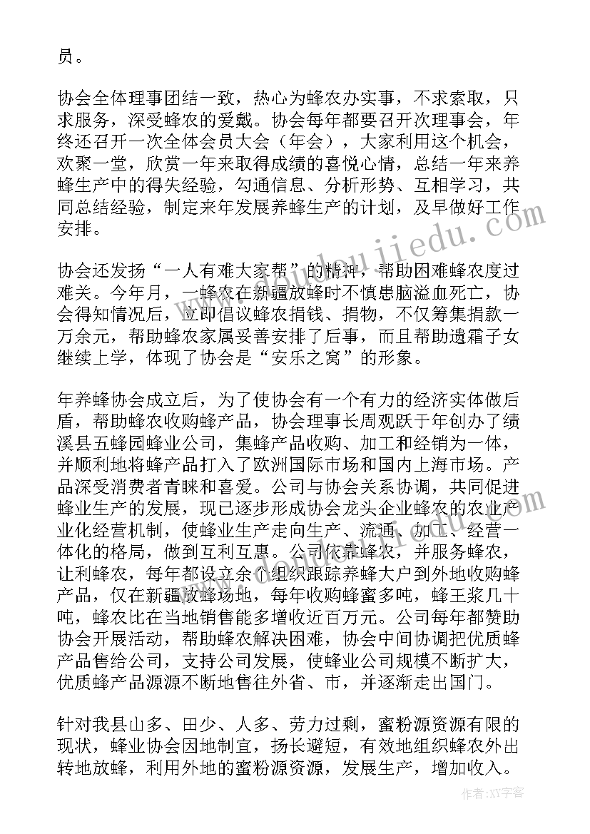 2023年新公司成立计划书 新成立的协会工作计划(汇总5篇)