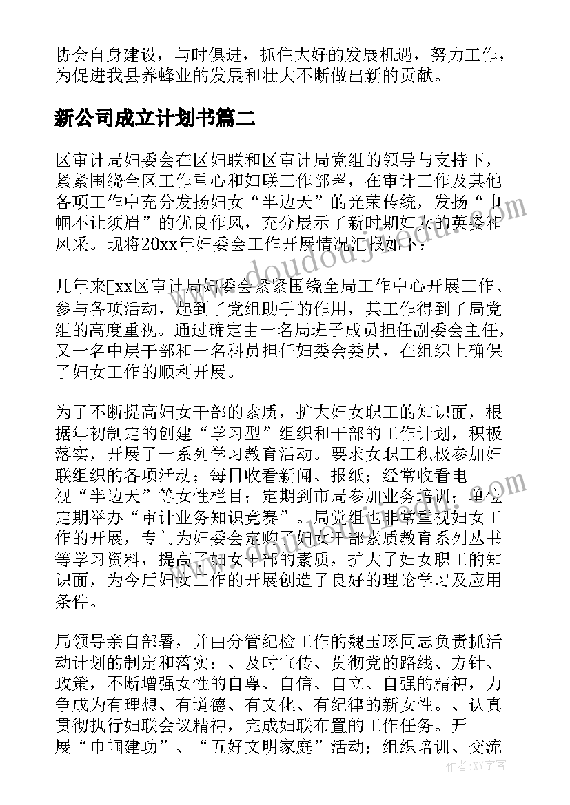 2023年新公司成立计划书 新成立的协会工作计划(汇总5篇)