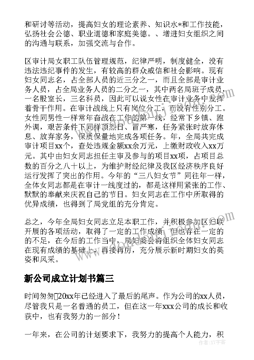 2023年新公司成立计划书 新成立的协会工作计划(汇总5篇)