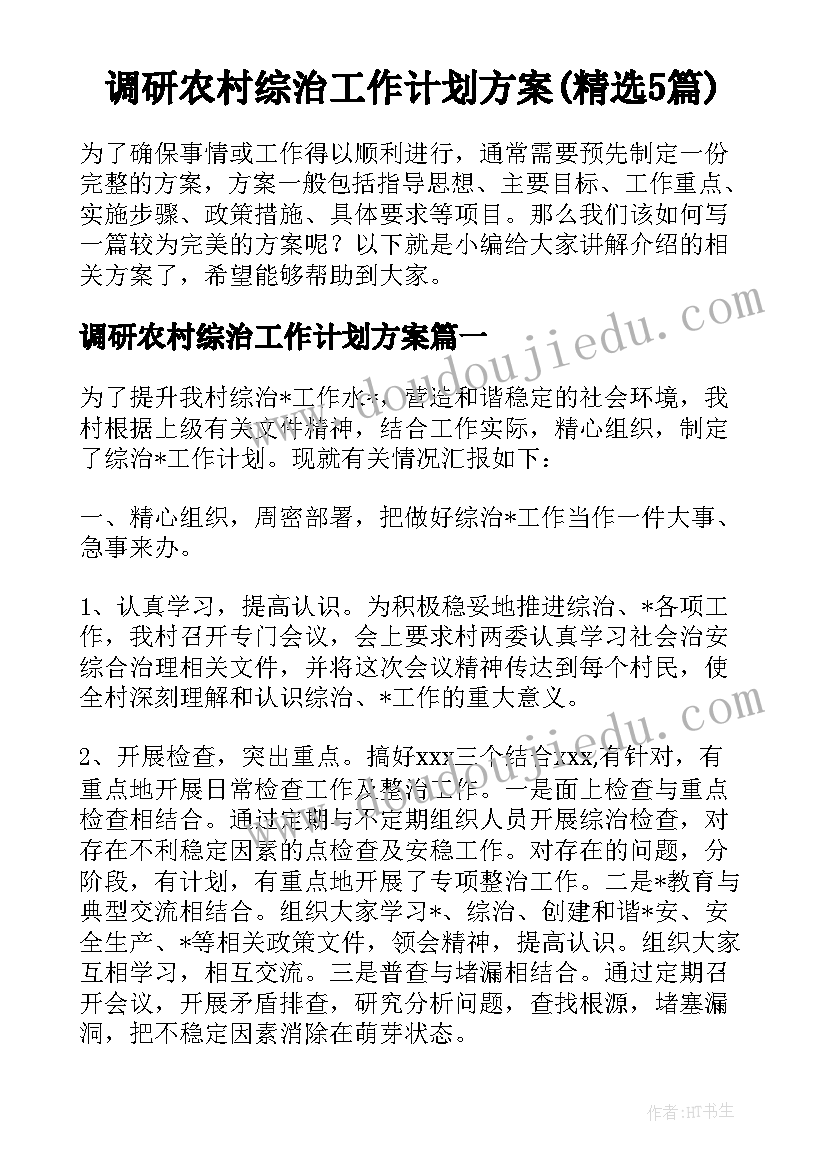 调研农村综治工作计划方案(精选5篇)