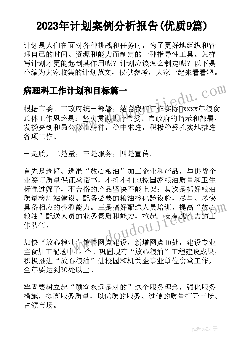 2023年计划案例分析报告(优质9篇)