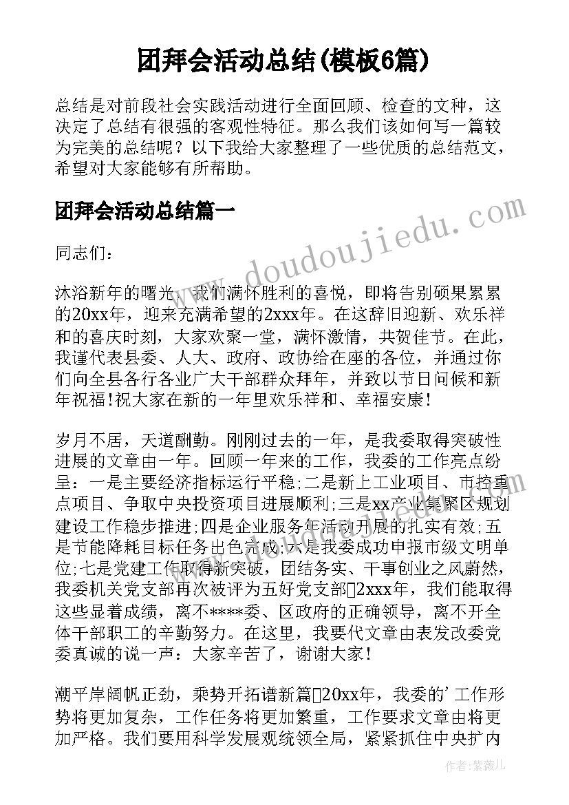 团拜会活动总结(模板6篇)