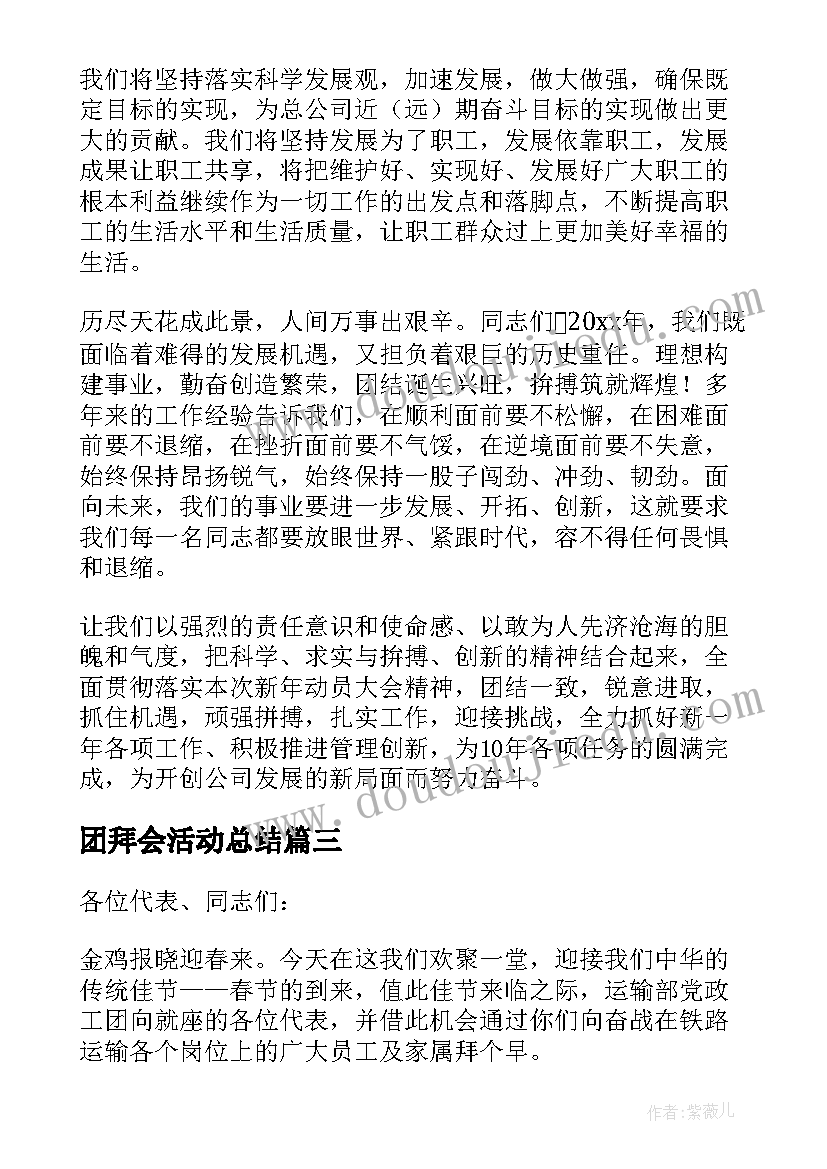 团拜会活动总结(模板6篇)