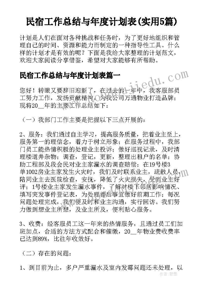 民宿工作总结与年度计划表(实用5篇)