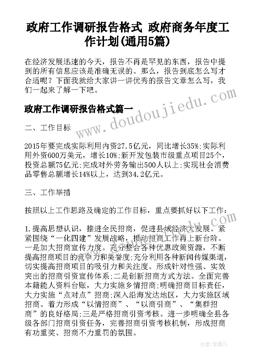 政府工作调研报告格式 政府商务年度工作计划(通用5篇)