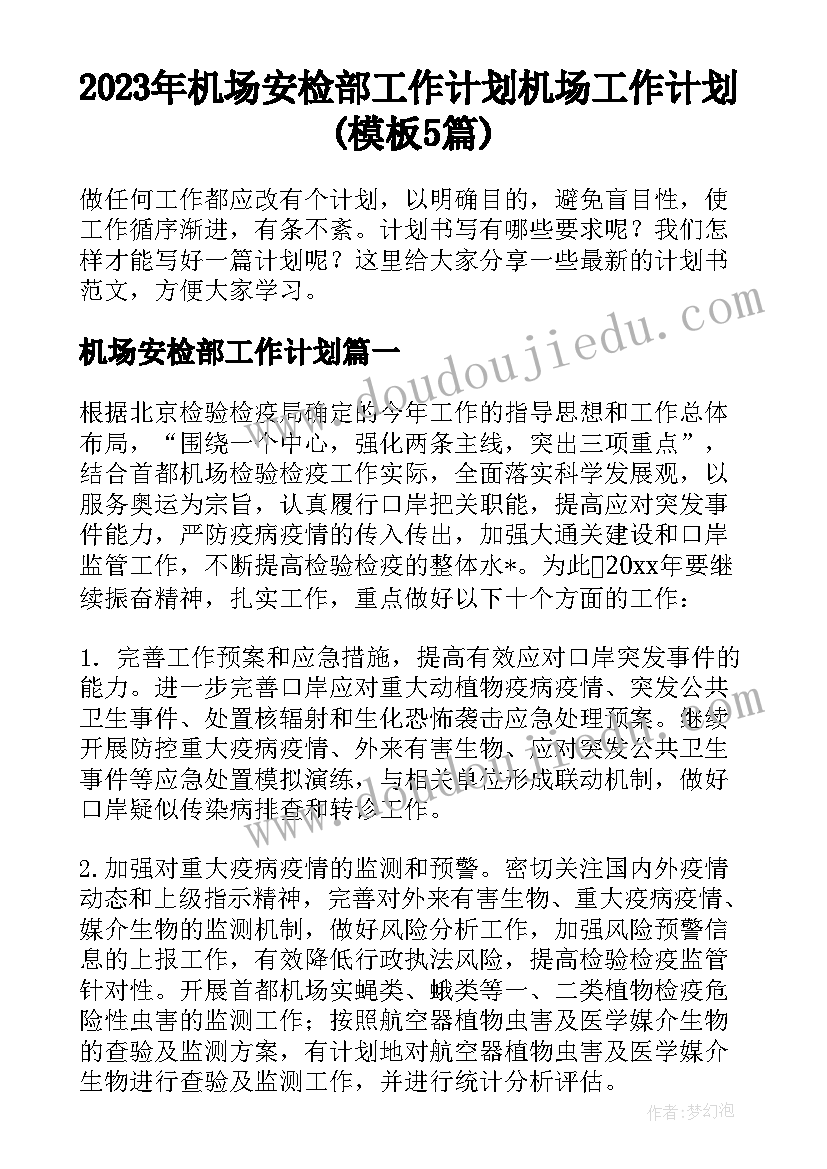 2023年机场安检部工作计划 机场工作计划(模板5篇)