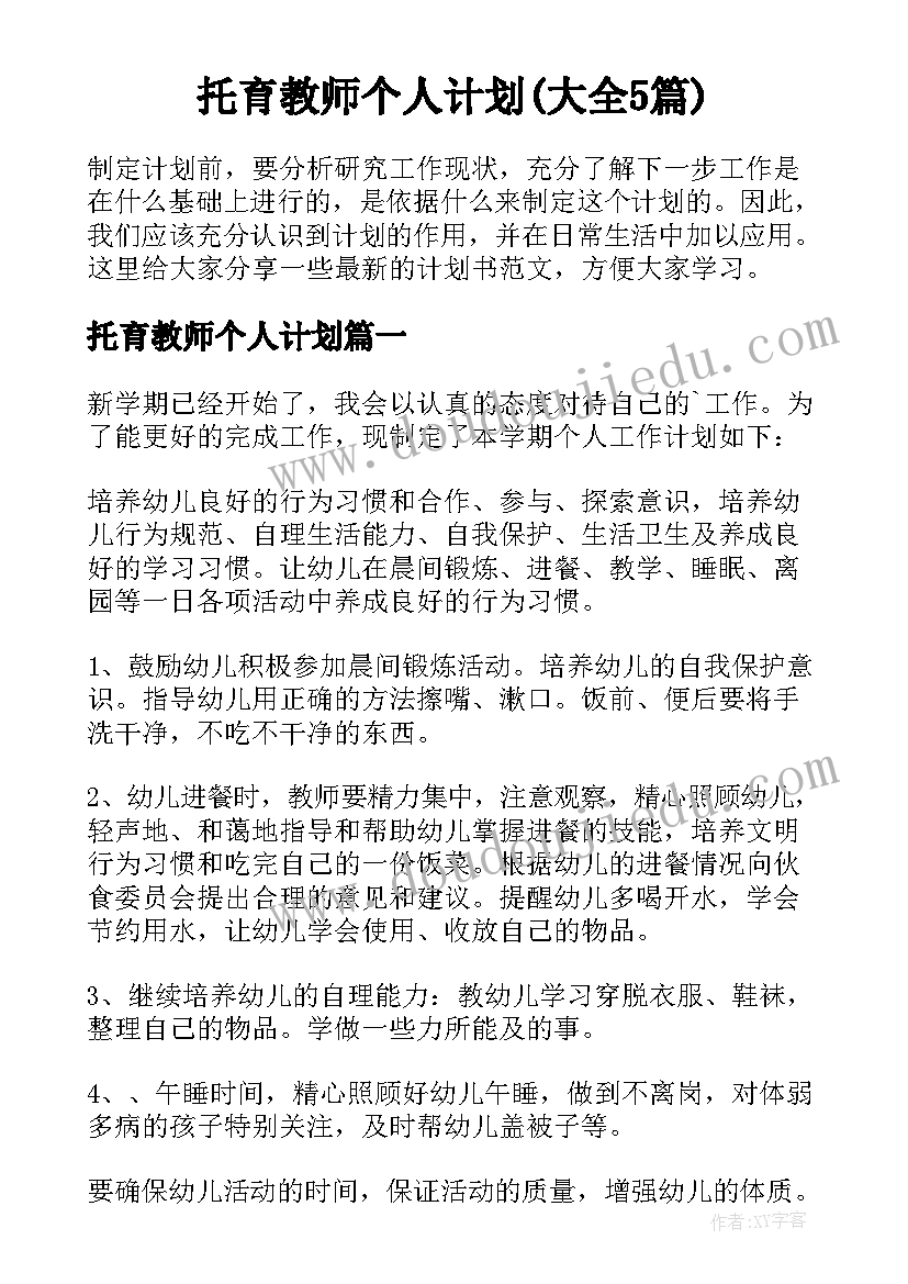 托育教师个人计划(大全5篇)