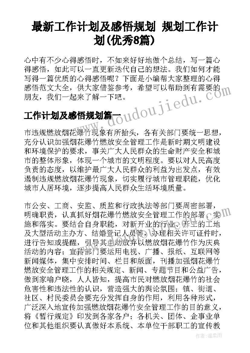 最新工作计划及感悟规划 规划工作计划(优秀8篇)