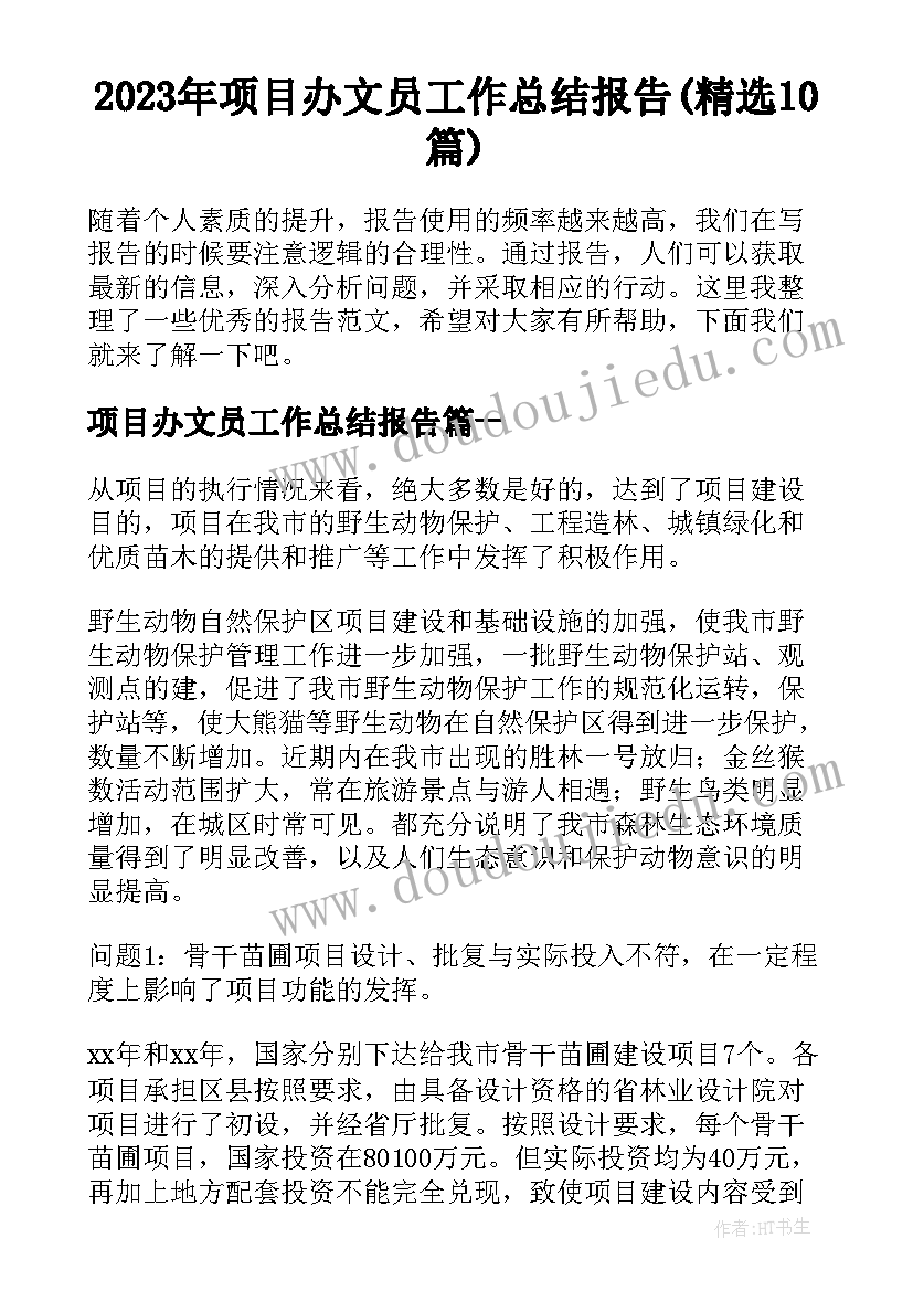 2023年项目办文员工作总结报告(精选10篇)