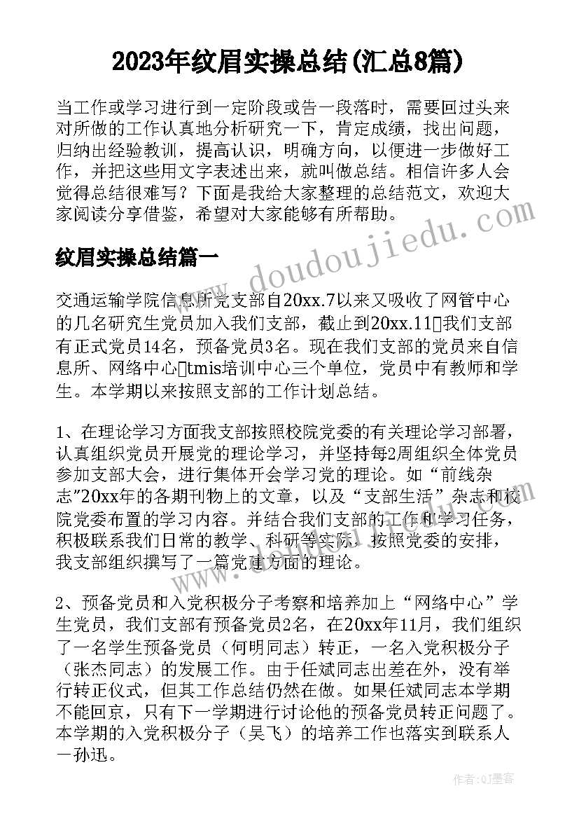 2023年纹眉实操总结(汇总8篇)