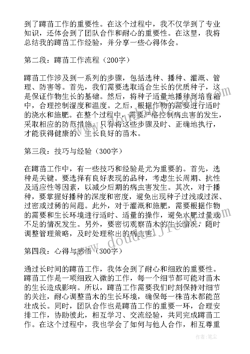 幼儿园小班篮球活动方案设计(精选5篇)