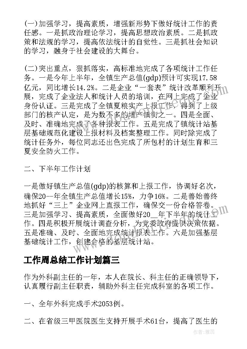 最新工作周总结工作计划 工作计划总结工作计划(汇总9篇)