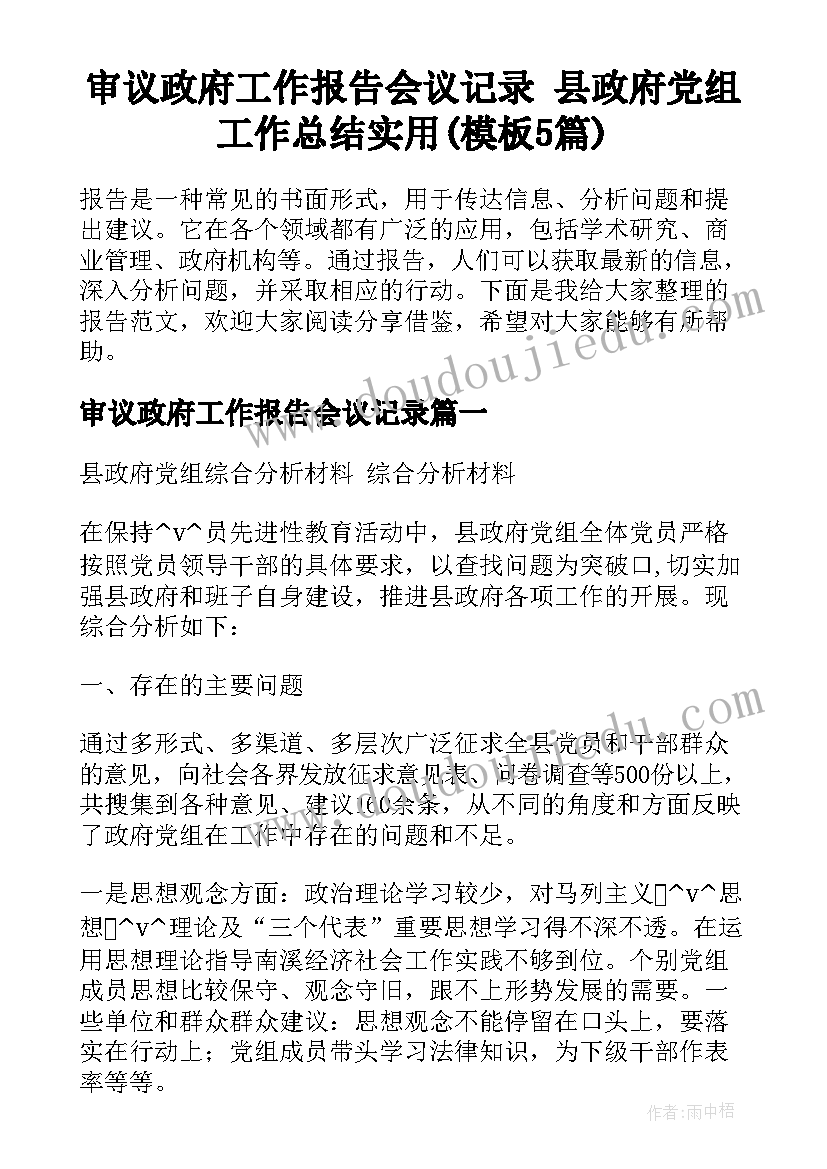 审议政府工作报告会议记录 县政府党组工作总结实用(模板5篇)