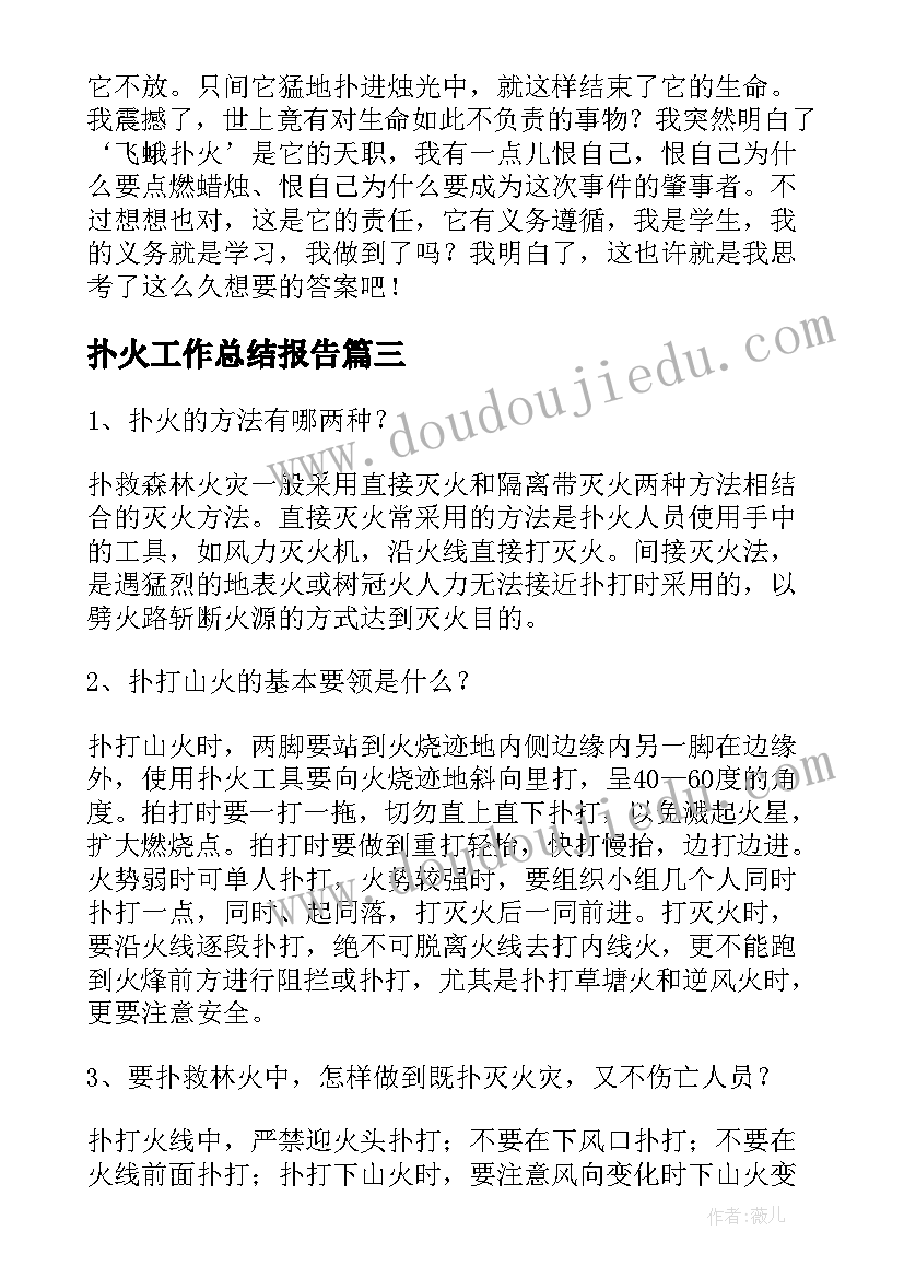 2023年扑火工作总结报告 森林火灾扑火安全常识(优质9篇)