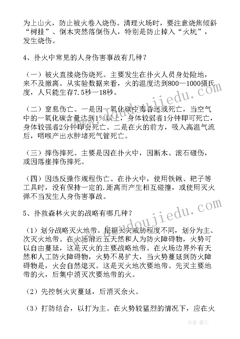 2023年扑火工作总结报告 森林火灾扑火安全常识(优质9篇)