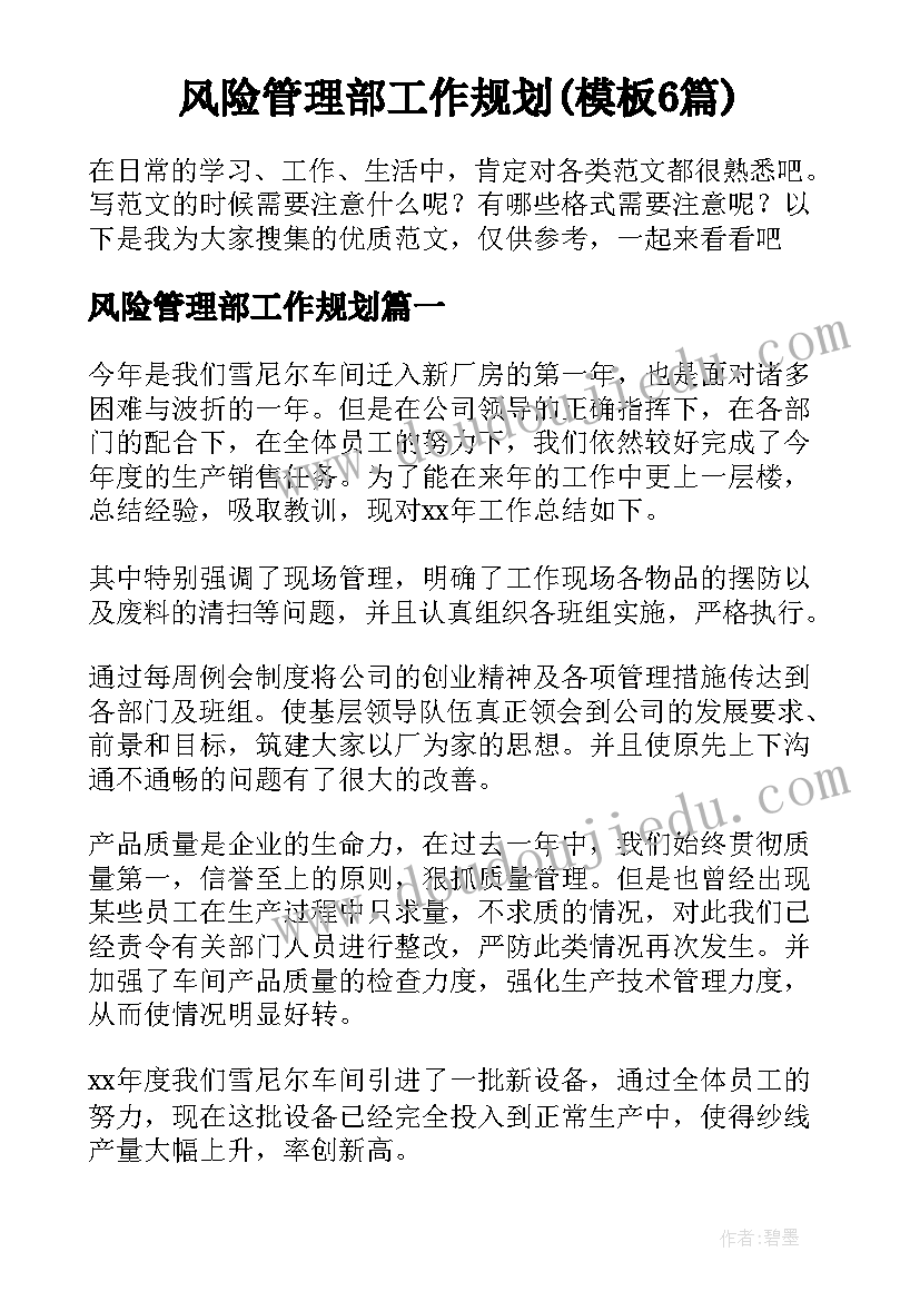 风险管理部工作规划(模板6篇)