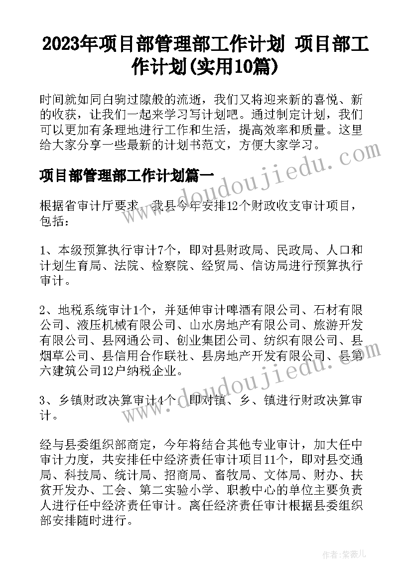 2023年项目部管理部工作计划 项目部工作计划(实用10篇)