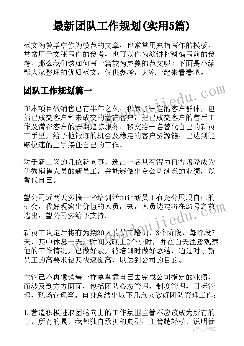 最新团队工作规划(实用5篇)