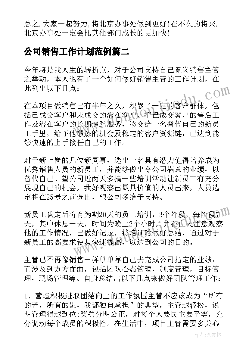 2023年公司销售工作计划范例(实用7篇)