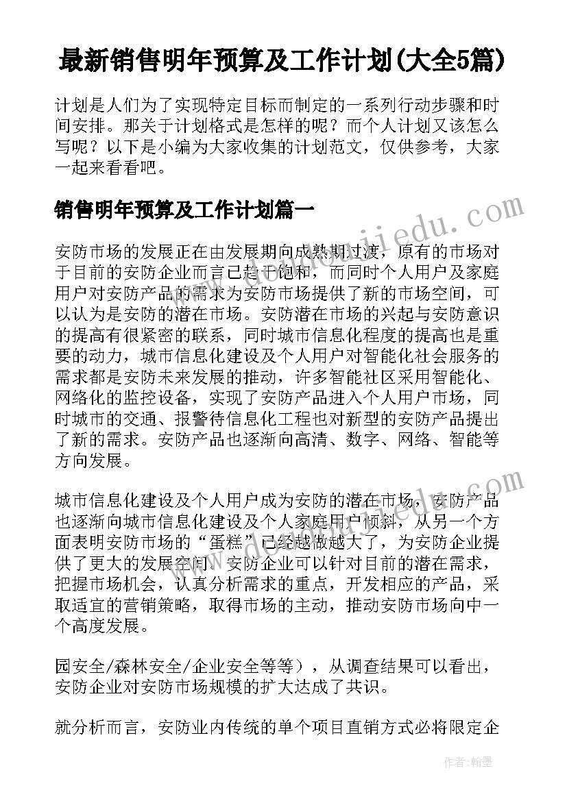 最新销售明年预算及工作计划(大全5篇)