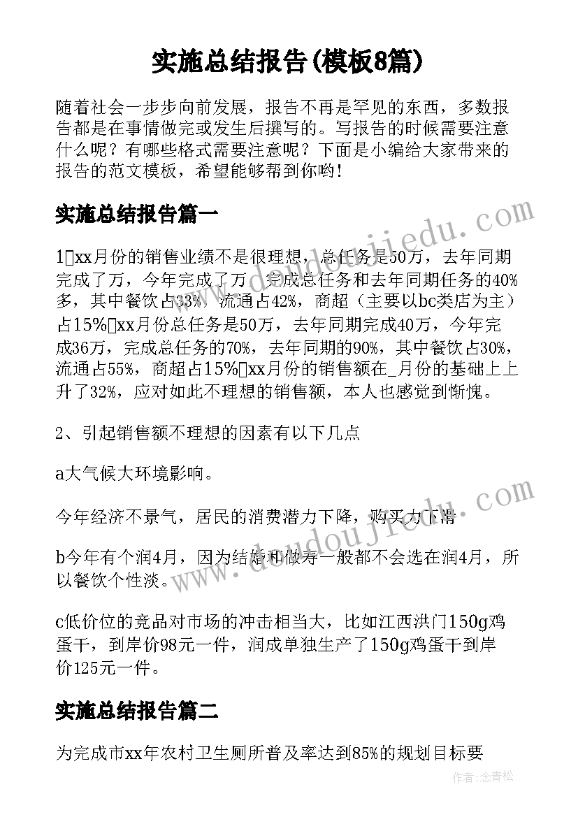 实施总结报告(模板8篇)