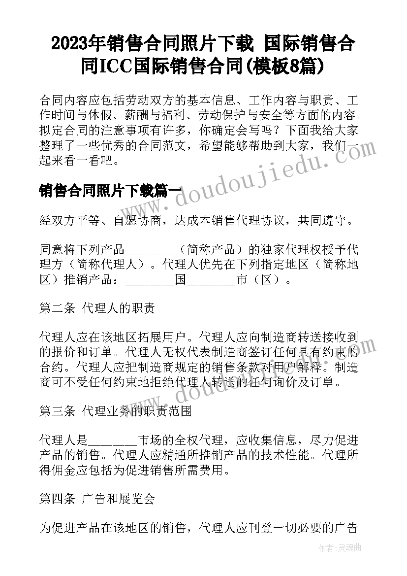 2023年销售合同照片下载 国际销售合同ICC国际销售合同(模板8篇)