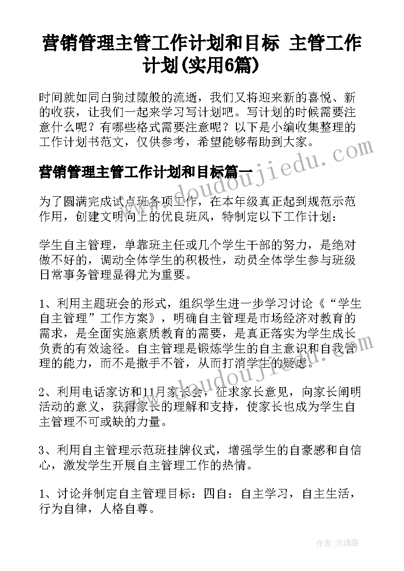 营销管理主管工作计划和目标 主管工作计划(实用6篇)