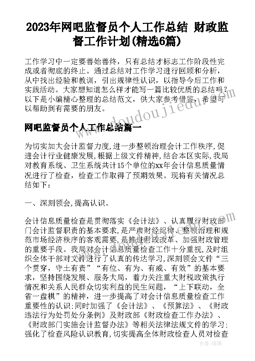 2023年网吧监督员个人工作总结 财政监督工作计划(精选6篇)