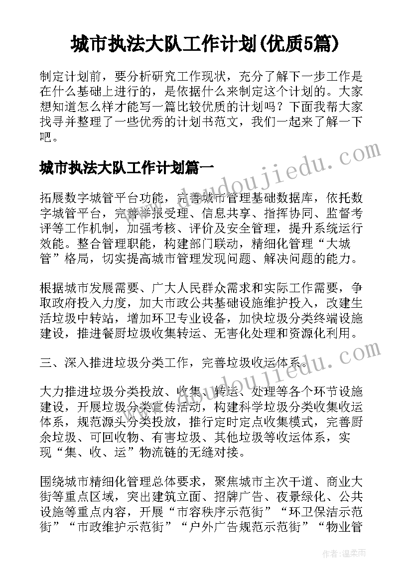 城市执法大队工作计划(优质5篇)