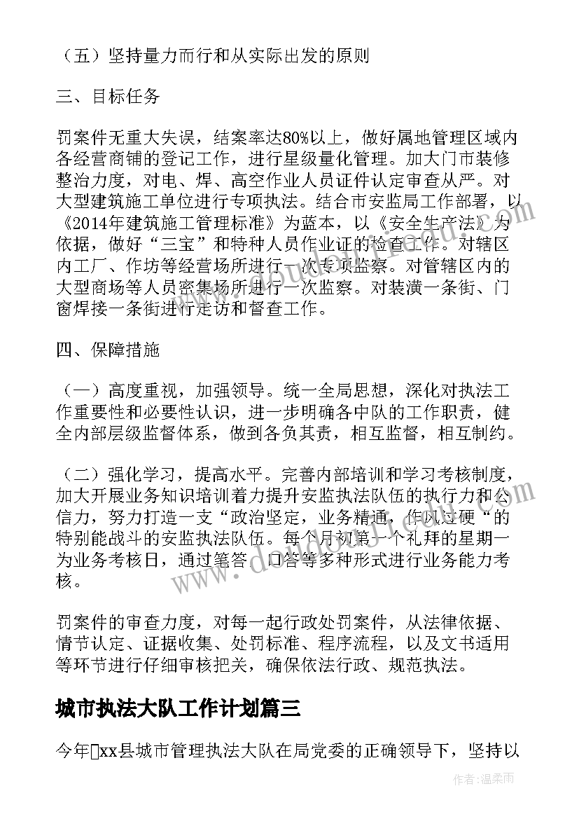 城市执法大队工作计划(优质5篇)