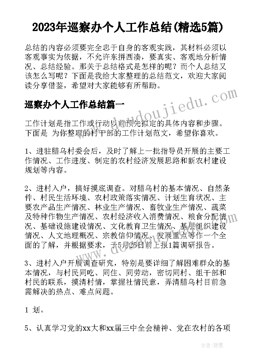 2023年巡察办个人工作总结(精选5篇)