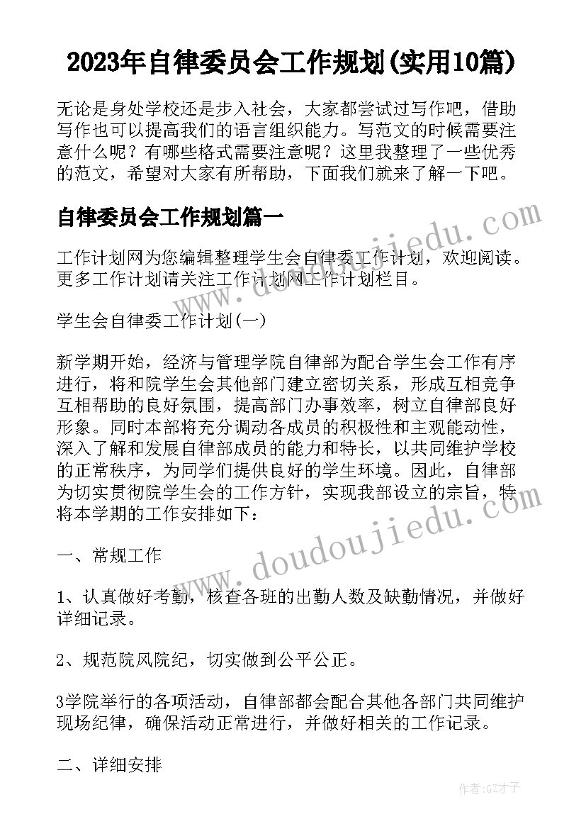 2023年自律委员会工作规划(实用10篇)