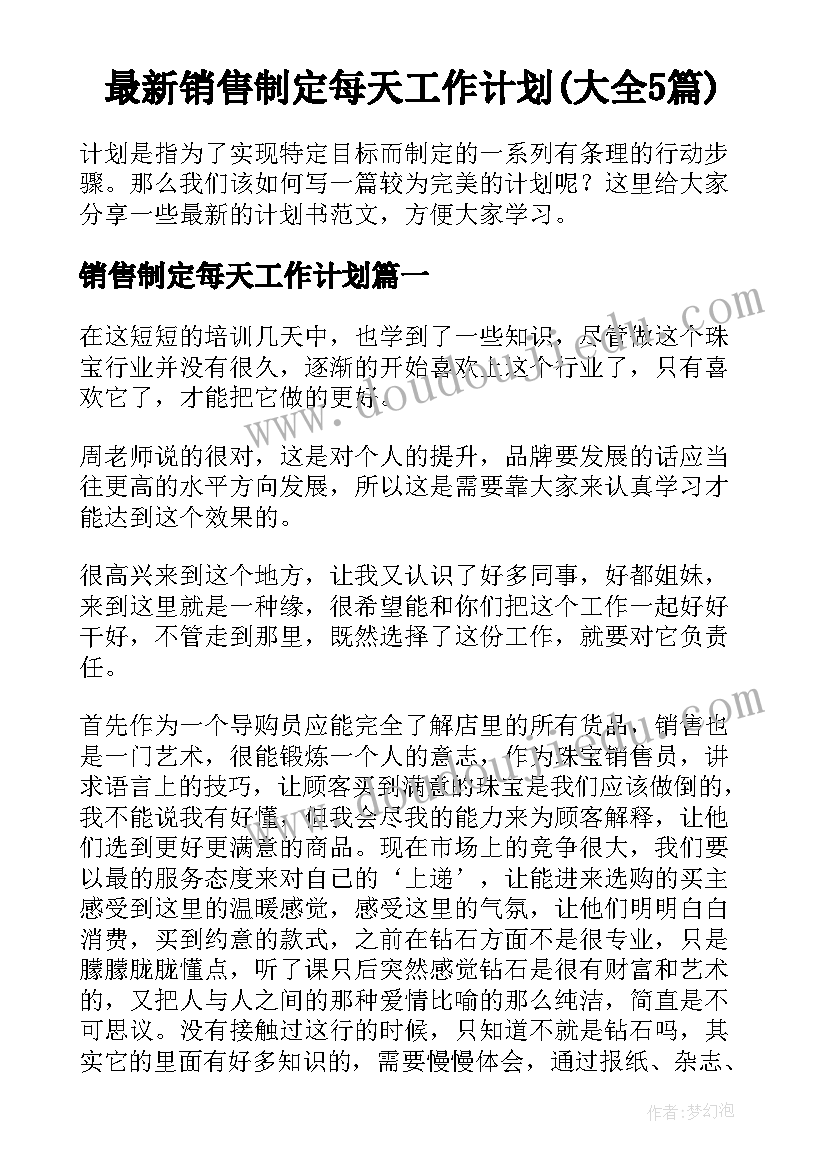 最新销售制定每天工作计划(大全5篇)